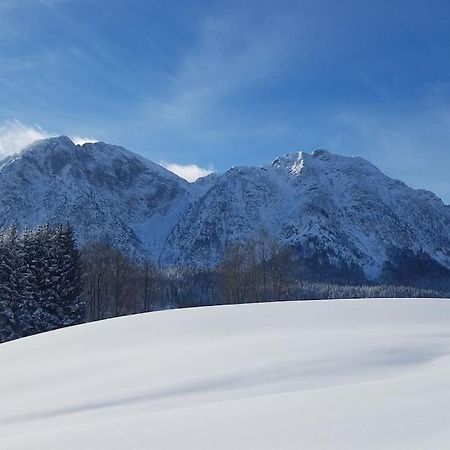'Dasbergblick' Altaussee Exteriör bild