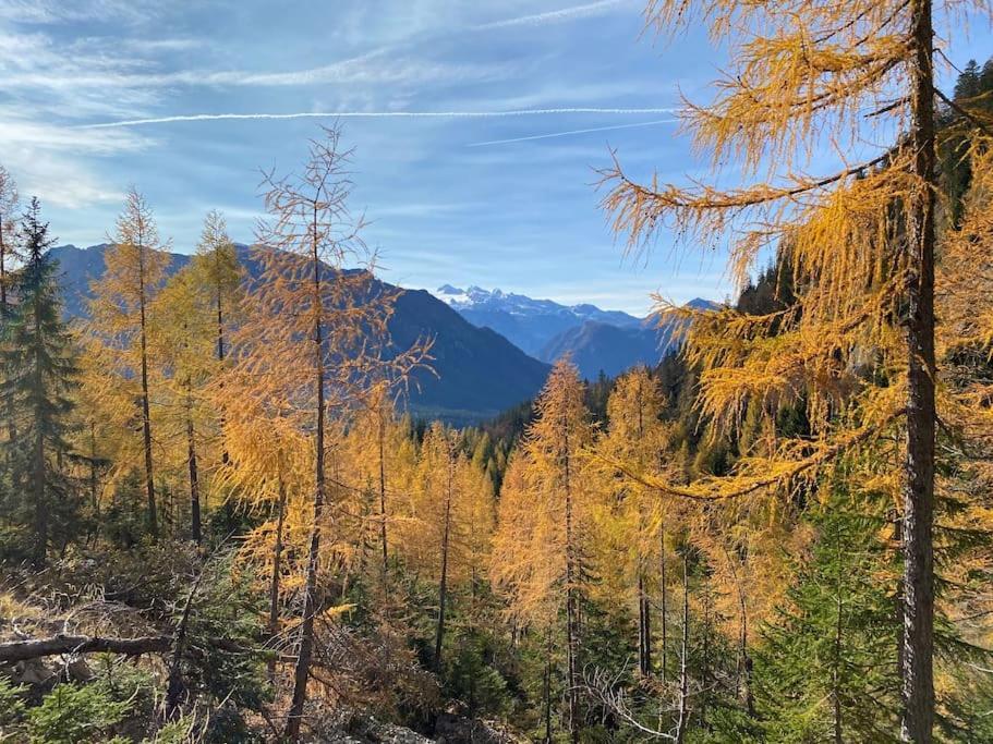 'Dasbergblick' Altaussee Exteriör bild
