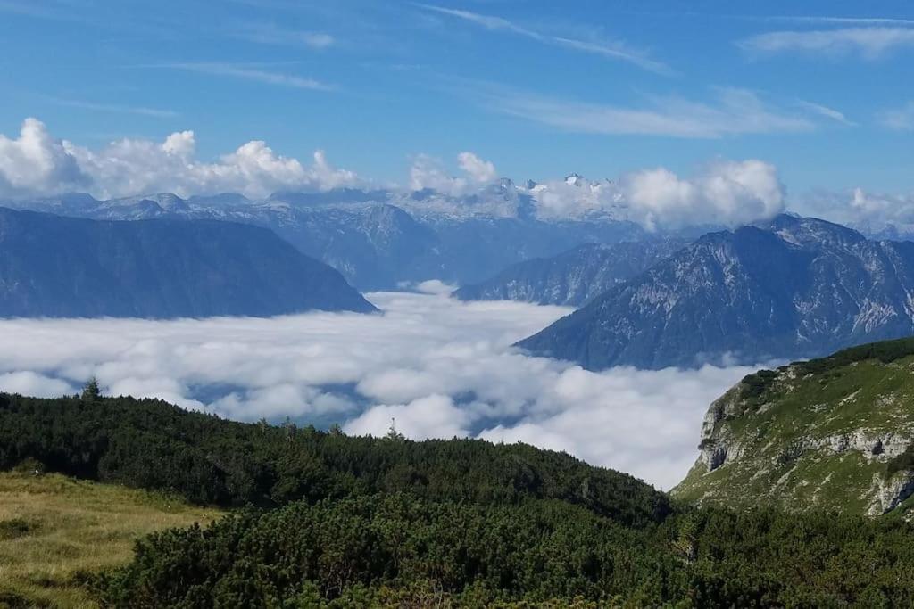 'Dasbergblick' Altaussee Exteriör bild